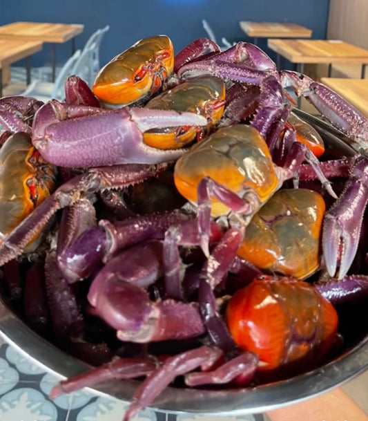 Ecuadorian Crab Bundle