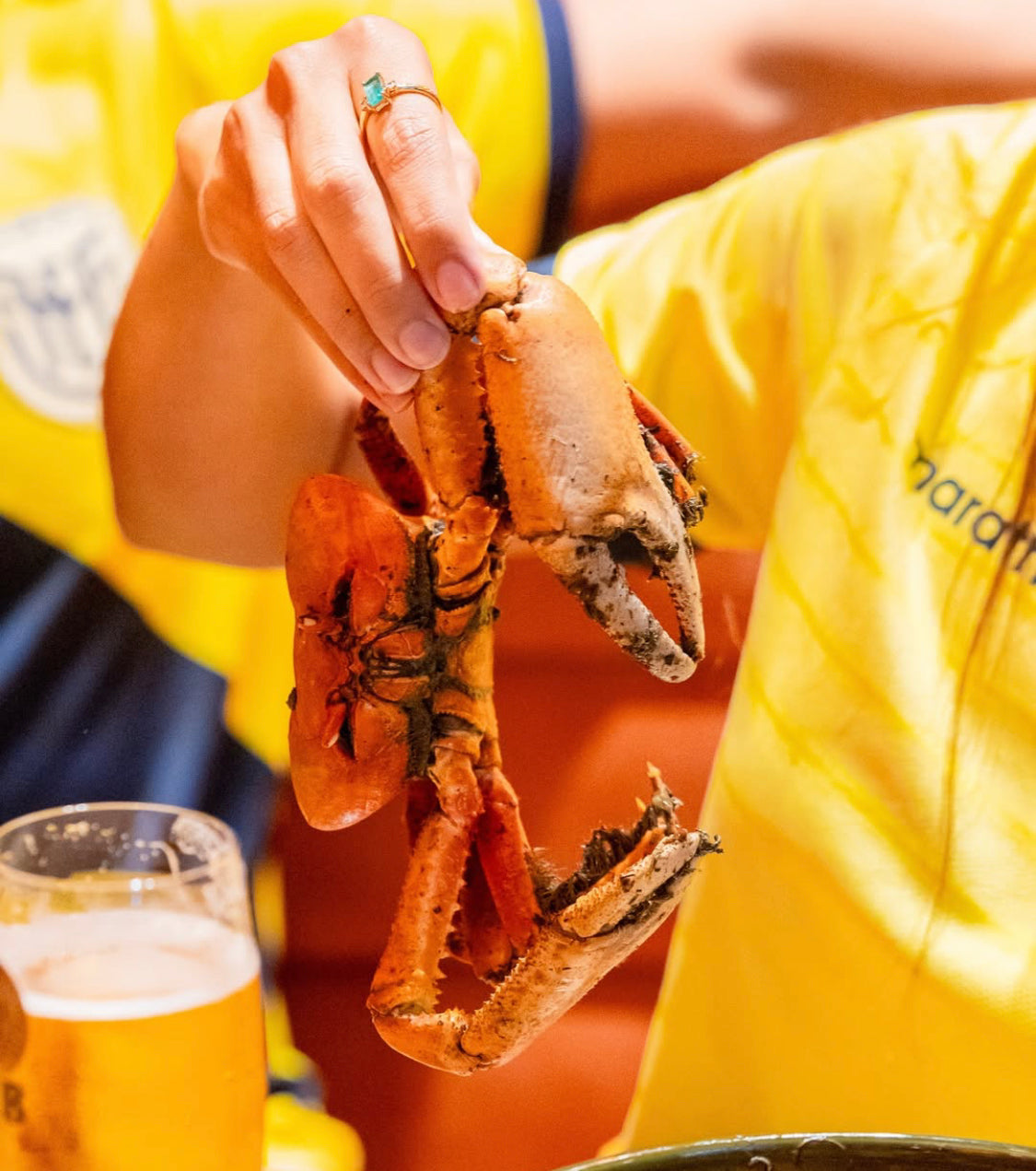 Ecuadorian Crab Bundle