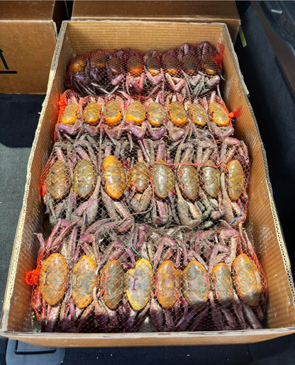 Ecuadorian Crab Bundle